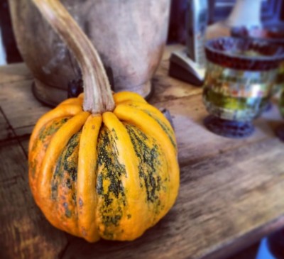 Pumpkin American Tondo 